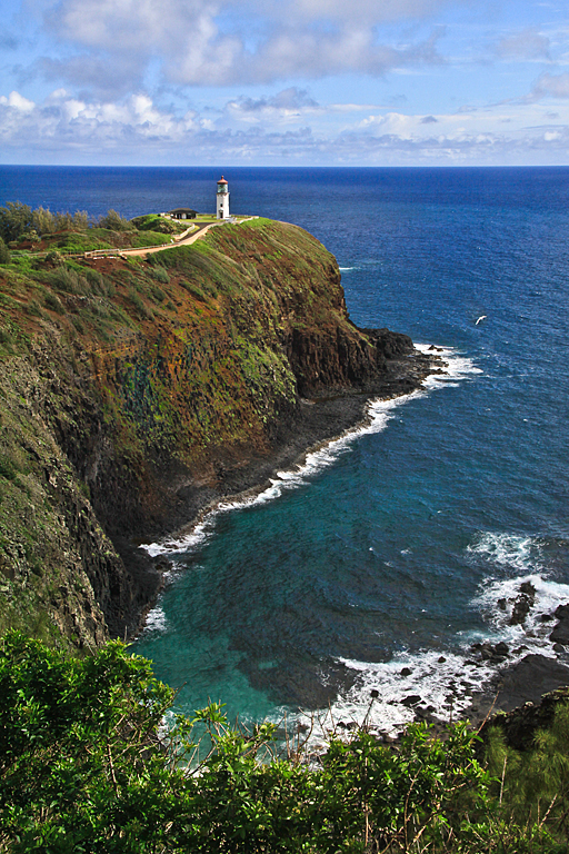 Kauai 2013 6406 (Kilauea Point Lighthouse)   P O'Malley